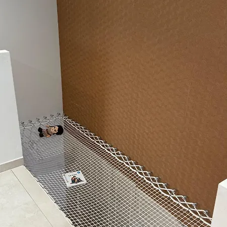 Apartment Family House